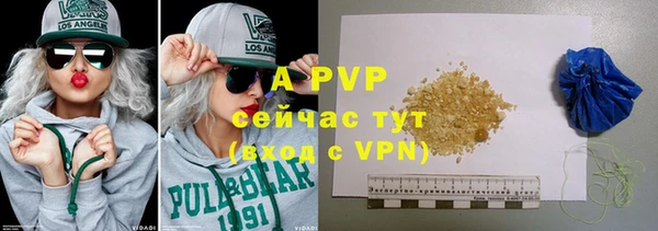 дурь Бородино