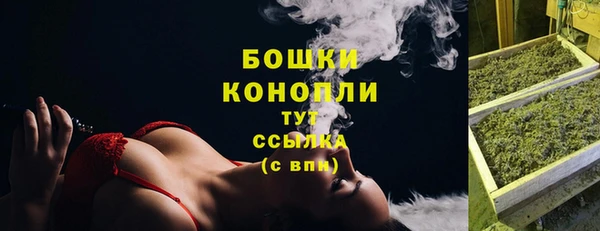 стафф Бронницы