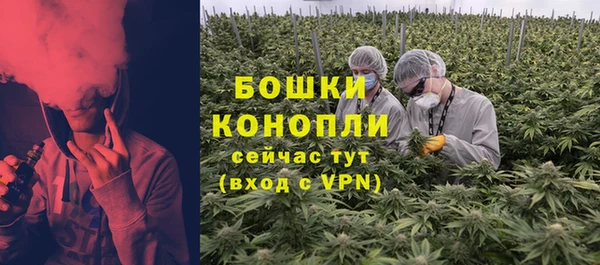 стафф Бронницы