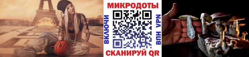 Псилоцибиновые грибы GOLDEN TEACHER  Вилюйск 